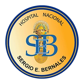 Hospital Sergio Bernales